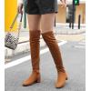 imageGreatonu Womens Over Knee High Boots Warm Winter Long Boot with Side Zipper Back Lace Fashion Thigh High BootsCamel177 Inchs